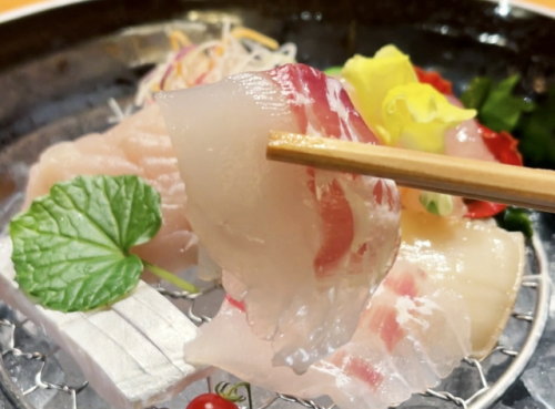 鯛